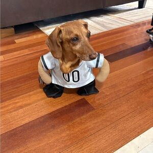 Unbranded White & Black Pet Jersey Costume for Dogs